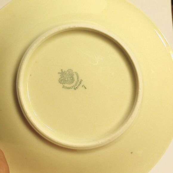 Vintage Floral Tea Cup and Saucer Schruarzenhammer Germany - Picture 9 of 9